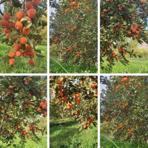 ۲۵ آبان ماه ۱۴۰۴