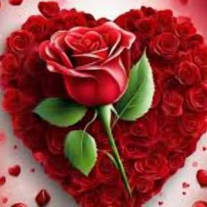 سعید 🌟🌟🌟