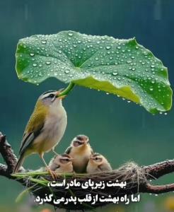 💫💫سلامتی همه پدر ومادرها 💫💫