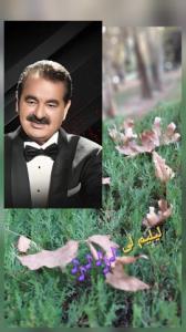 یه آهنگ خاطره انگیز..ابراهیم تاتلیس،لیلیم لی 🍂🍁🎶🍂🍁🎶