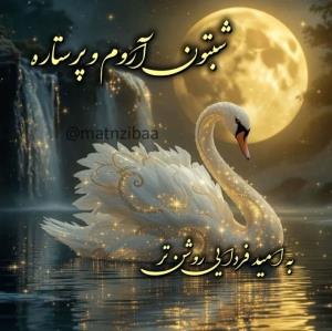 شبتون آرووم