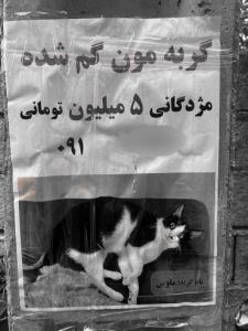 طفلی صاحبش🥲😔