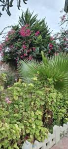 ♦️مخلوق #خدایی هستیم 
که گفت
بزرگترین گناه
نا امیدی از 
رحمت