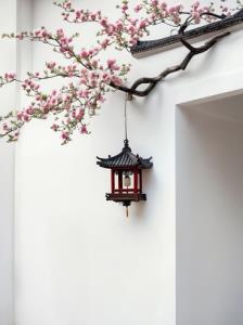 روزی میرسه که همه‌ی دردات
تبدیل به لبخند میشن..