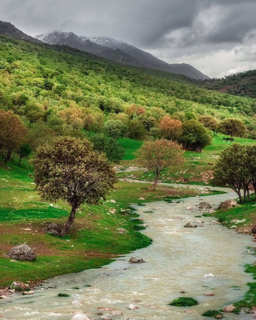 قربون حال خش...