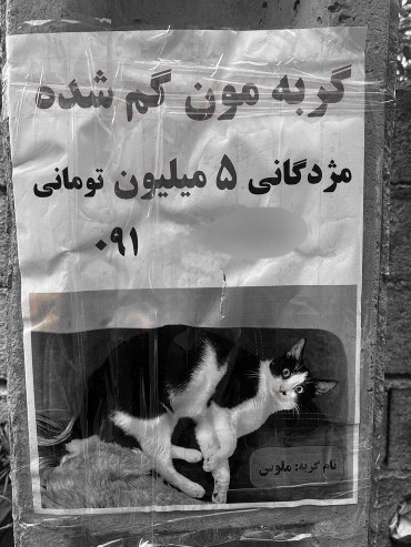 طفلی صاحبش🥲😔