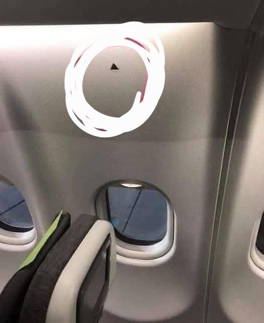 وقتی سوار هواپیما شدید شایداین مثلث کوچیک بالای پنل کنار 