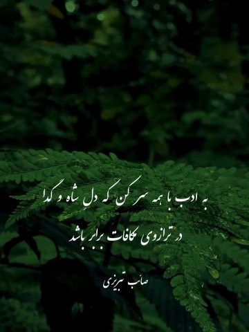 جناب صائب تبریزی 🕊️