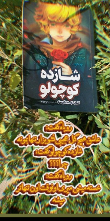 بدون شرح 🌹