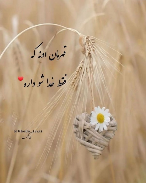 خدایا شکرت🕊️🥹