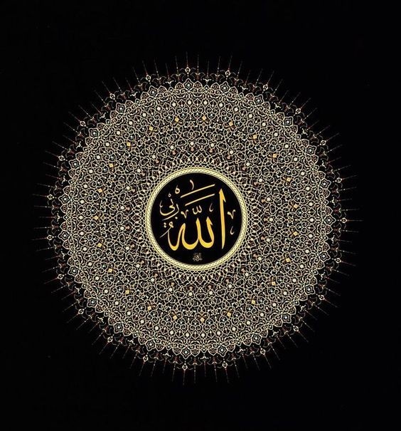 الله وربی🕊️💥