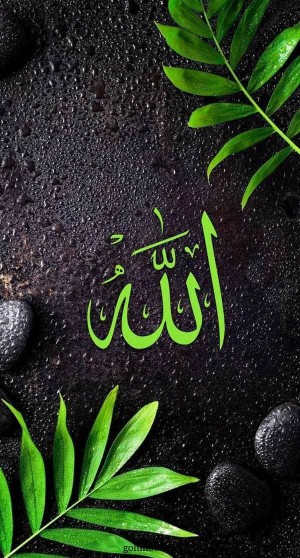 🕊️🌿🌿🌿🌿🌿