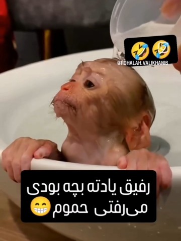 سلام😂🙋🏻‍♀️