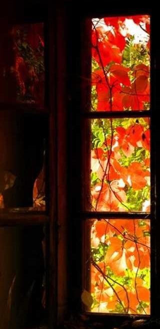 🤎🧡💛خاستم بدونی اینروزا....