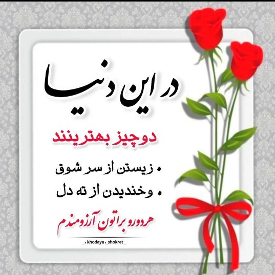 عصرتون دلپذیر 🌹 کپشن لطفاً 👇