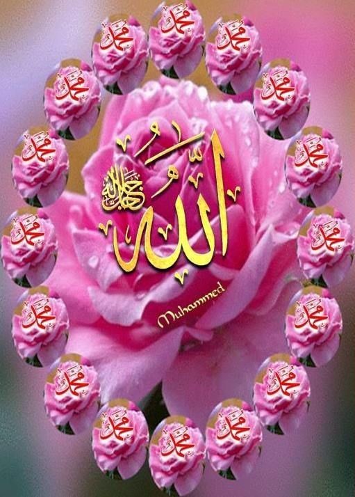 جل جلاله🌾🕊️