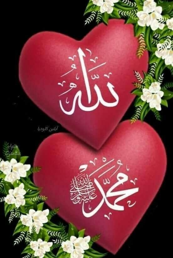 اللهم صل علی محمدوال محمد وعجل فرجهم 🤲🏻🌾