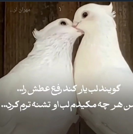 مهران لر...برای زندگیت فقط خودت تصمیم بگیر ...موفق میشی