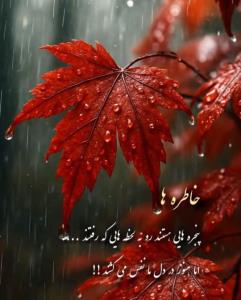 شبتون خوش 🌺💫