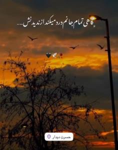 روحت شاد عزیز آسمانی من 🖤