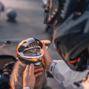 «باشد که روزها ما را
به آنچه دوست داریم برسانند...»🌱🤍