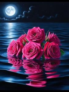 سلام شب بخیر