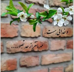 حسبی الله 🕊️