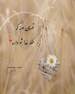 خدایا شکرت🕊️🥹