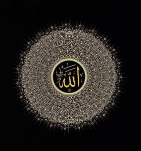 الله وربی🕊️💥