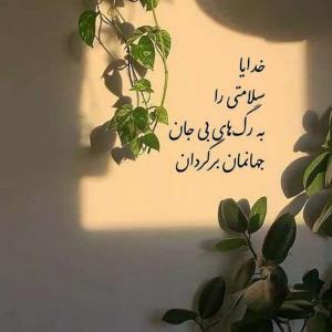 آمین🕊️🤲🏻