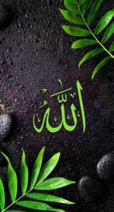 🕊️🌿🌿🌿🌿🌿