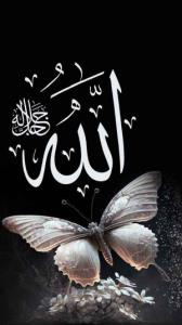 ای پناه دل‌شکستگان🕊️🥹