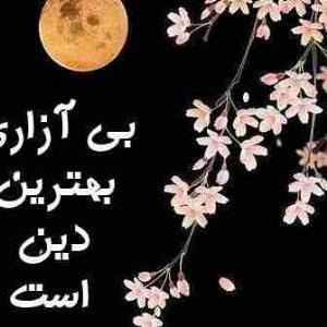 سلام علیکم...... عصر تان بخیر ونیک خوبان خبری.حفیظ الله 