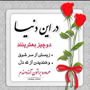 عصرتون دلپذیر 🌹 کپشن لطفاً 👇