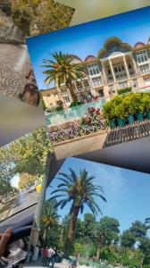 ارم و خاطرات قشنگش🍃🍂