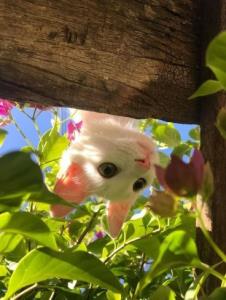 اندوه
فقط عادت است