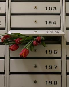 بایگانی کرده بودم برا خودت 🧕👉خواستنی موندنی 💜🫵