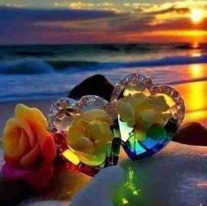 سلام   شبتون   پراز   خاطره   خوب   باشه   انشاالله   🙏🙏🙏   🌷⚘🌹🌷⚘🌹🌷⚘🌹