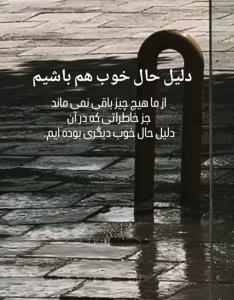 🏝️🌹🏝️🌹