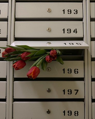 بایگانی کرده بودم برا خودت 🧕👉خواستنی موندنی 💜🫵