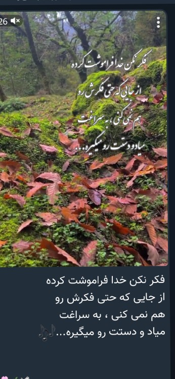 خدااااا💕💕💕