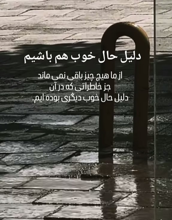 🏝️🌹🏝️🌹