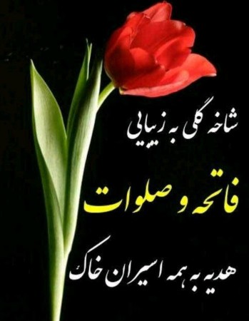 شادی روح همه رفتگان فاتحه و صلوات🌺🌺