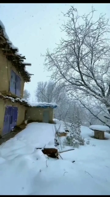 یکم حال دلتون عوض بشه👌