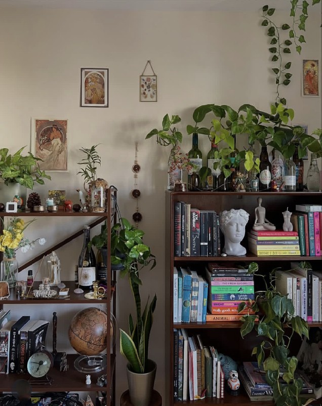 امروزیه بیسکوییتم ک افتاده ته لیوان چای☕🪴