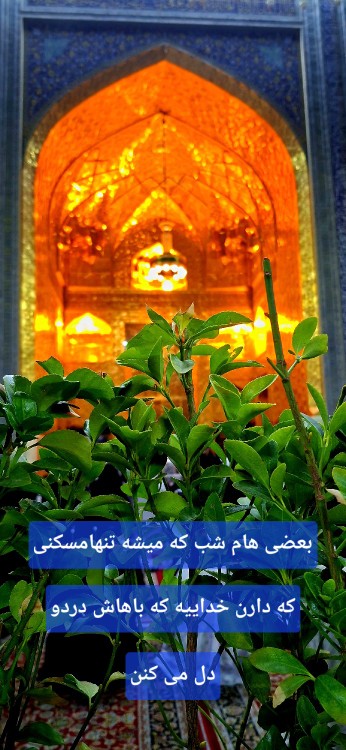 خــدایا شـــکرت ..
که یادم دادی هیچ چیز عجله ای نیست
هیچ چیز