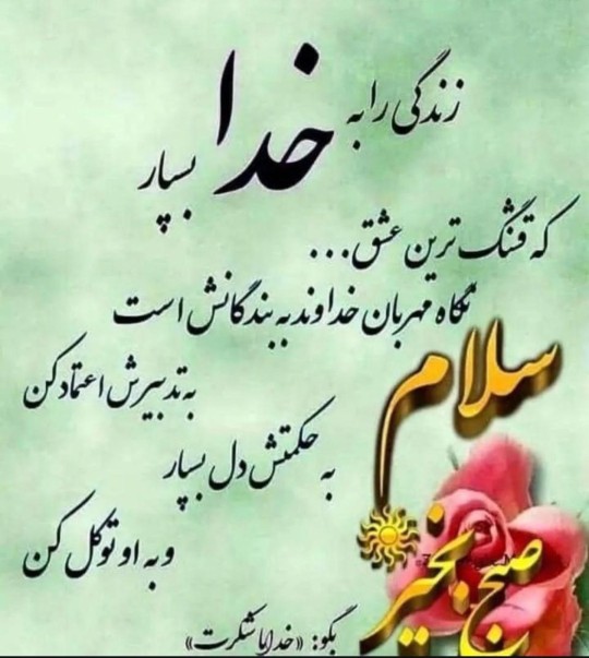 🌺🌺🌺🌺🌺🌺🌺