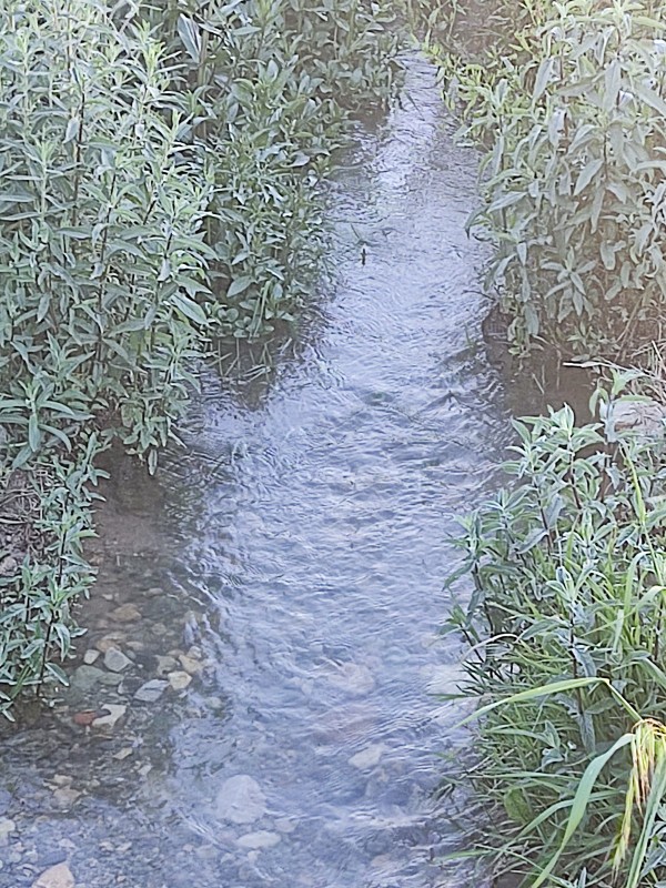 یادش بخیر باران