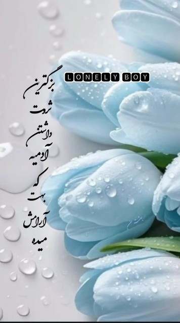 موافقی. بزن. لایک ❤️🤞🤞