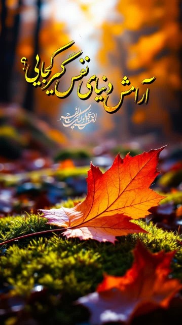 💥🕊️🤲🏻🌞